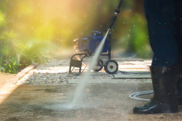 Animal Enclosure Cleaning in Westover, WV